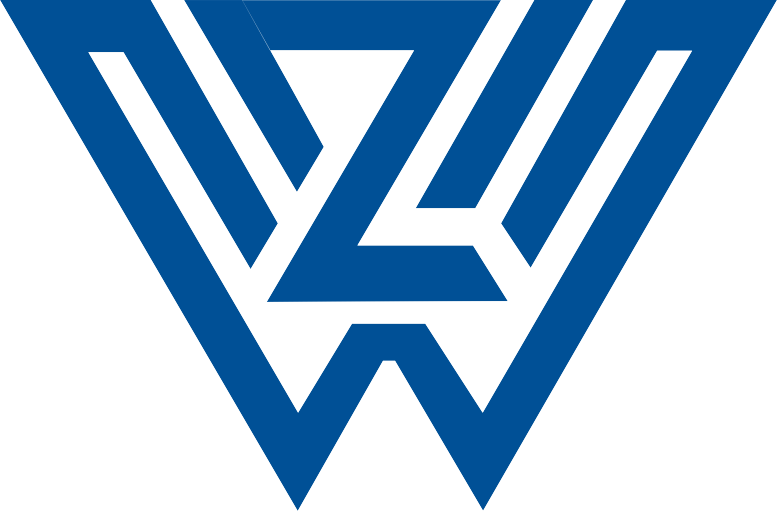 佐维营销-专业网络营销公司